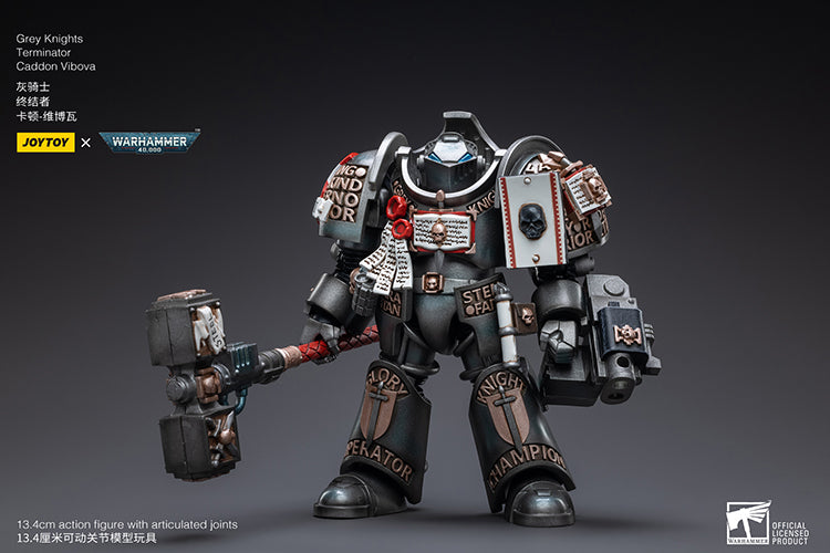 Grey Knights: Terminator - Caddon Vibova