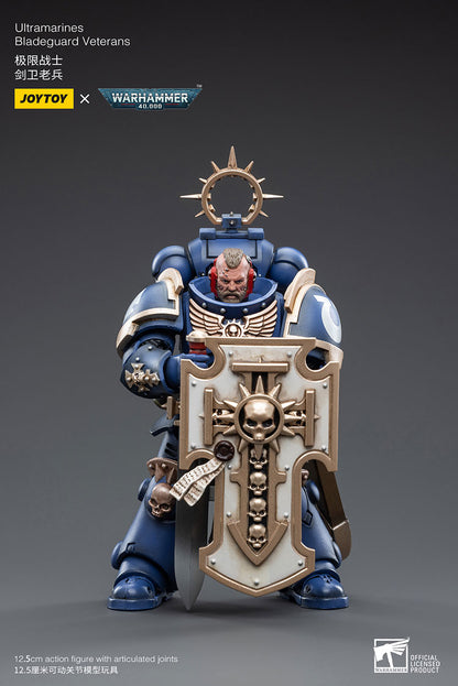 Space Wolves: Bladeguard Veteran