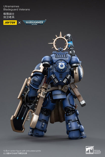 Space Wolves: Bladeguard Veteran