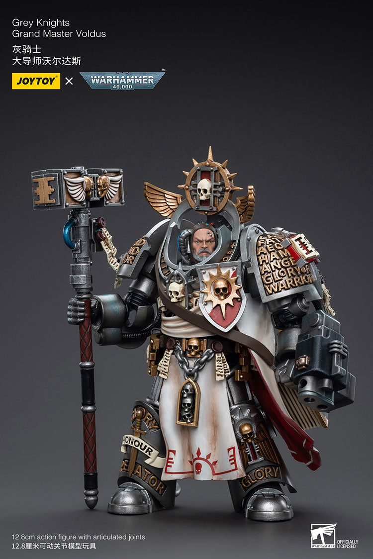 Grey Knights: Grand Master Voldus