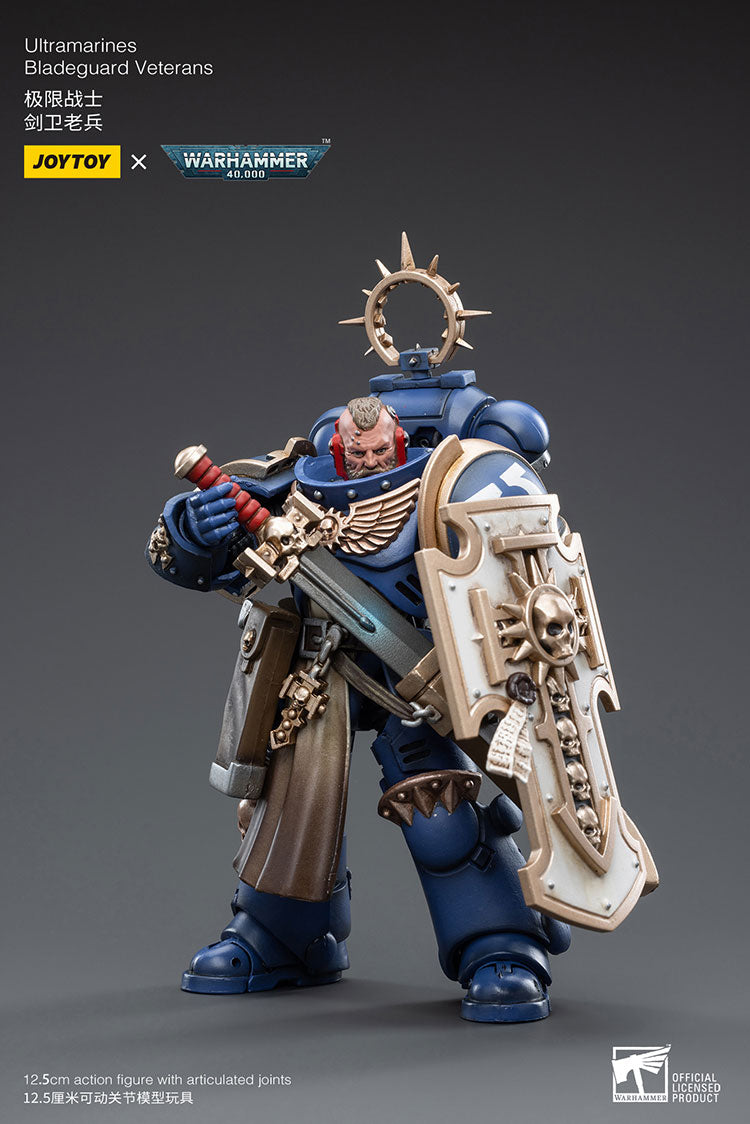 Space Wolves: Bladeguard Veteran