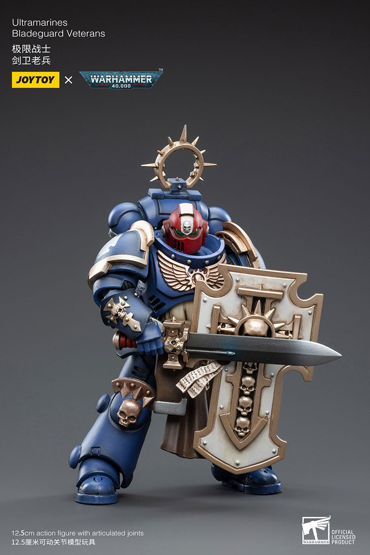 Space Wolves: Bladeguard Veteran