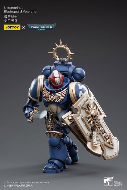 Space Wolves: Bladeguard Veteran