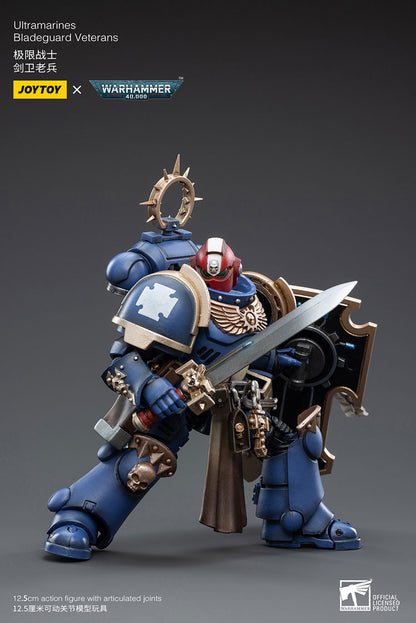 Space Wolves: Bladeguard Veteran