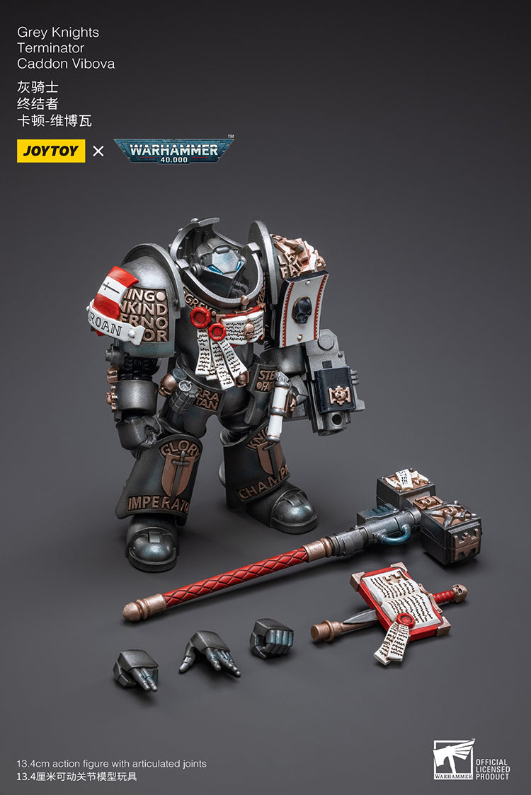 Grey Knights: Terminator - Caddon Vibova