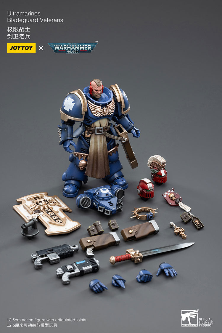 Space Wolves: Bladeguard Veteran