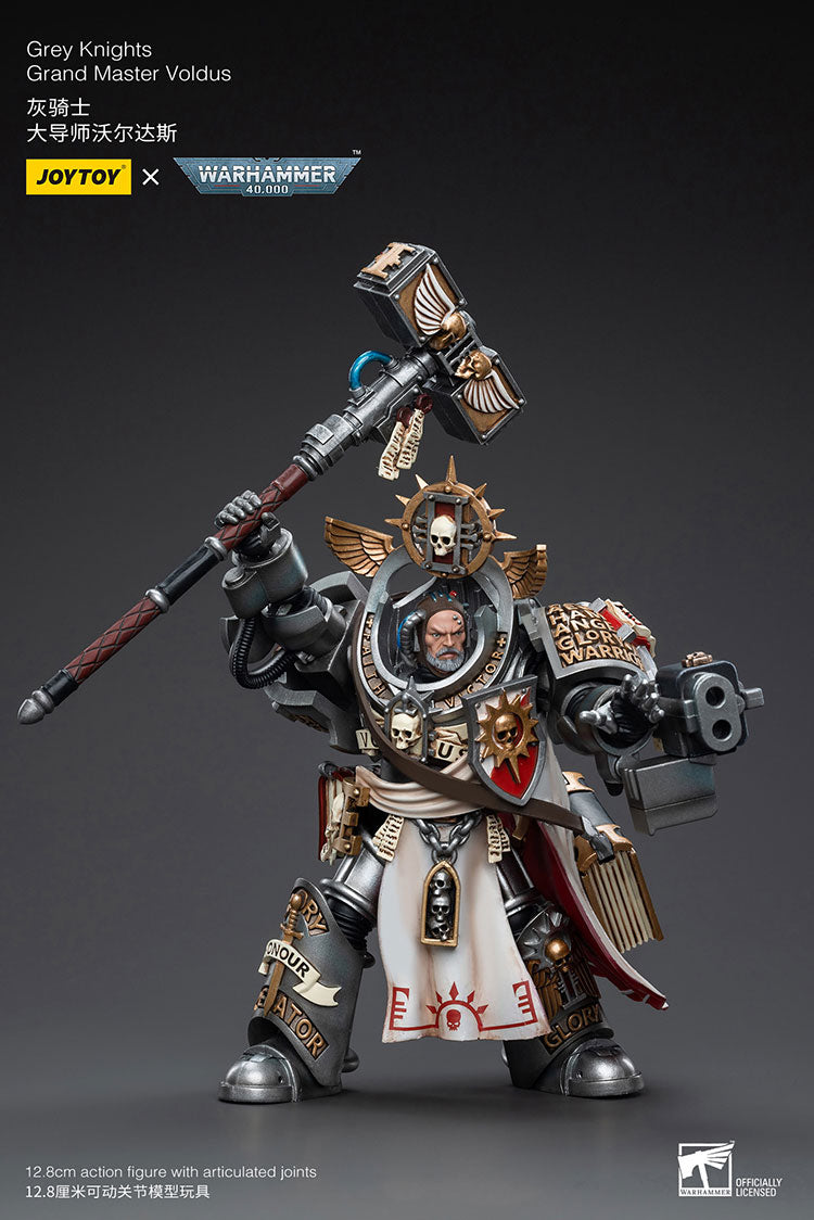 Grey Knights: Grand Master Voldus