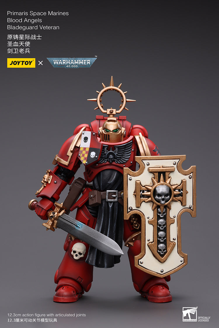 Blood Angels: Bladeguard Veteran