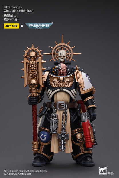 Ultramarines: Chaplain (Indomitus)