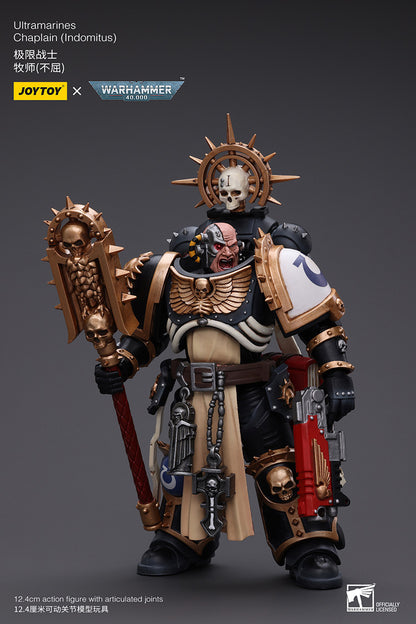 Ultramarines: Chaplain (Indomitus)