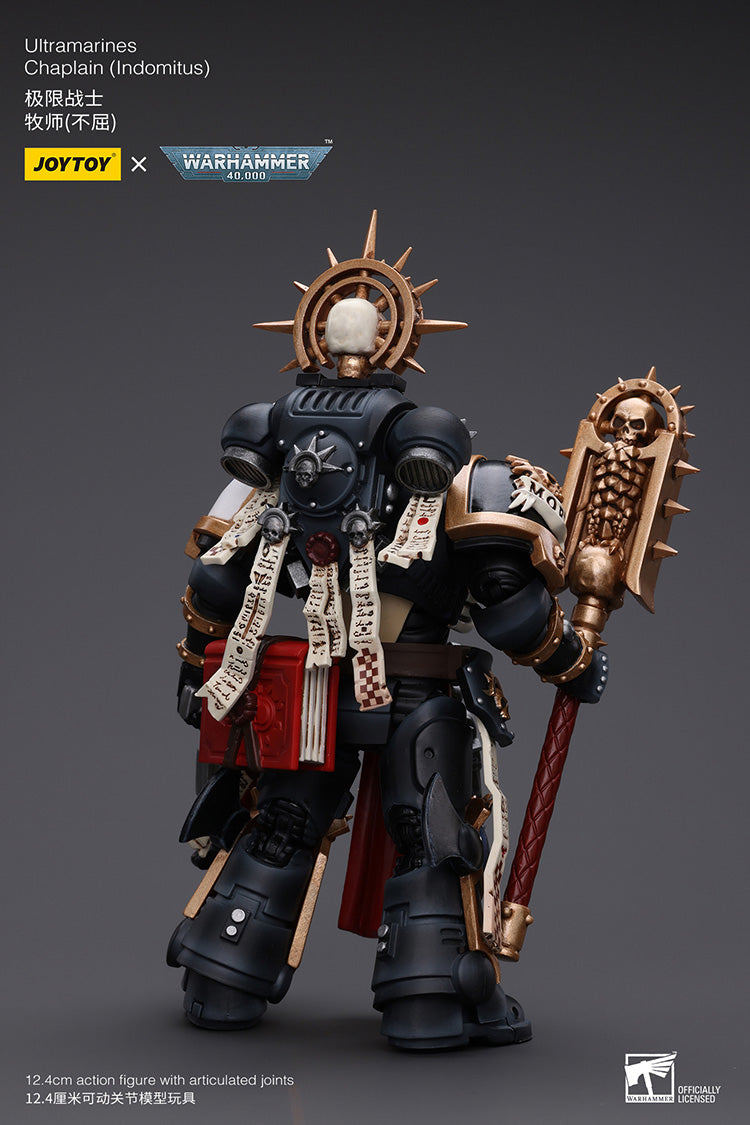 Ultramarines: Chaplain (Indomitus)