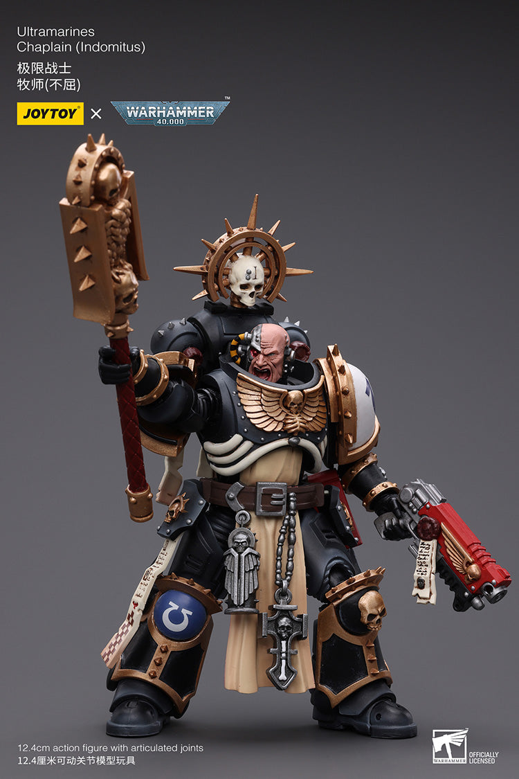 Ultramarines: Chaplain (Indomitus)