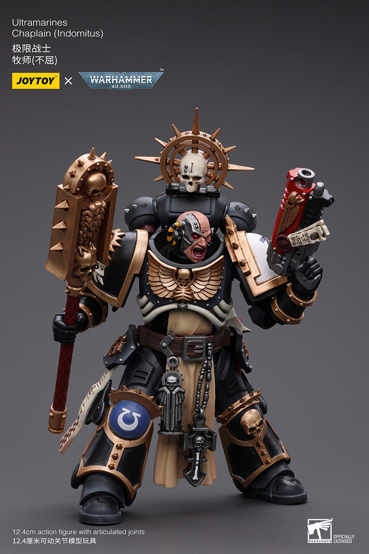 Ultramarines: Chaplain (Indomitus)