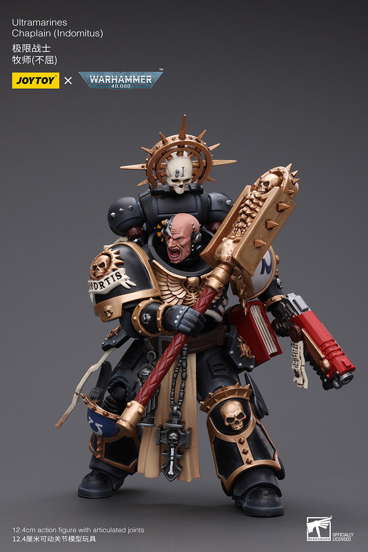 Ultramarines: Chaplain (Indomitus)