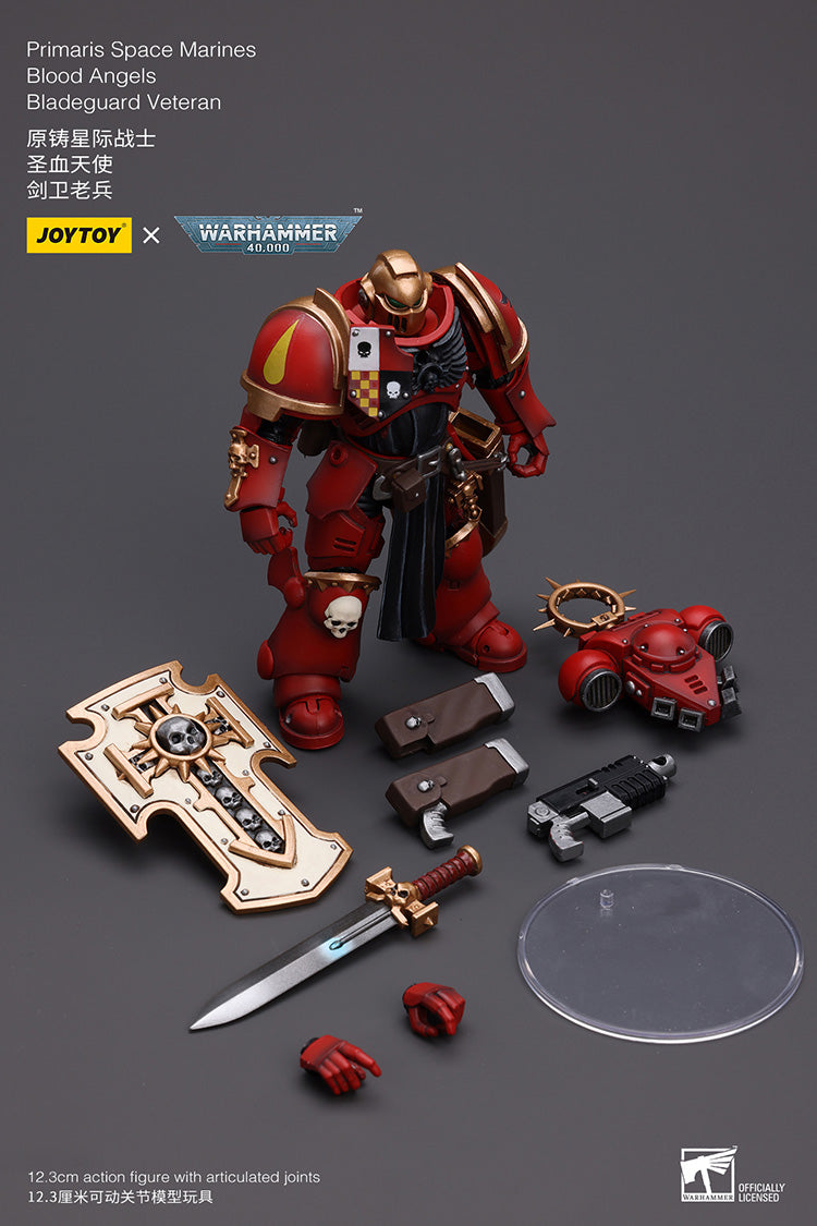 Blood Angels: Bladeguard Veteran