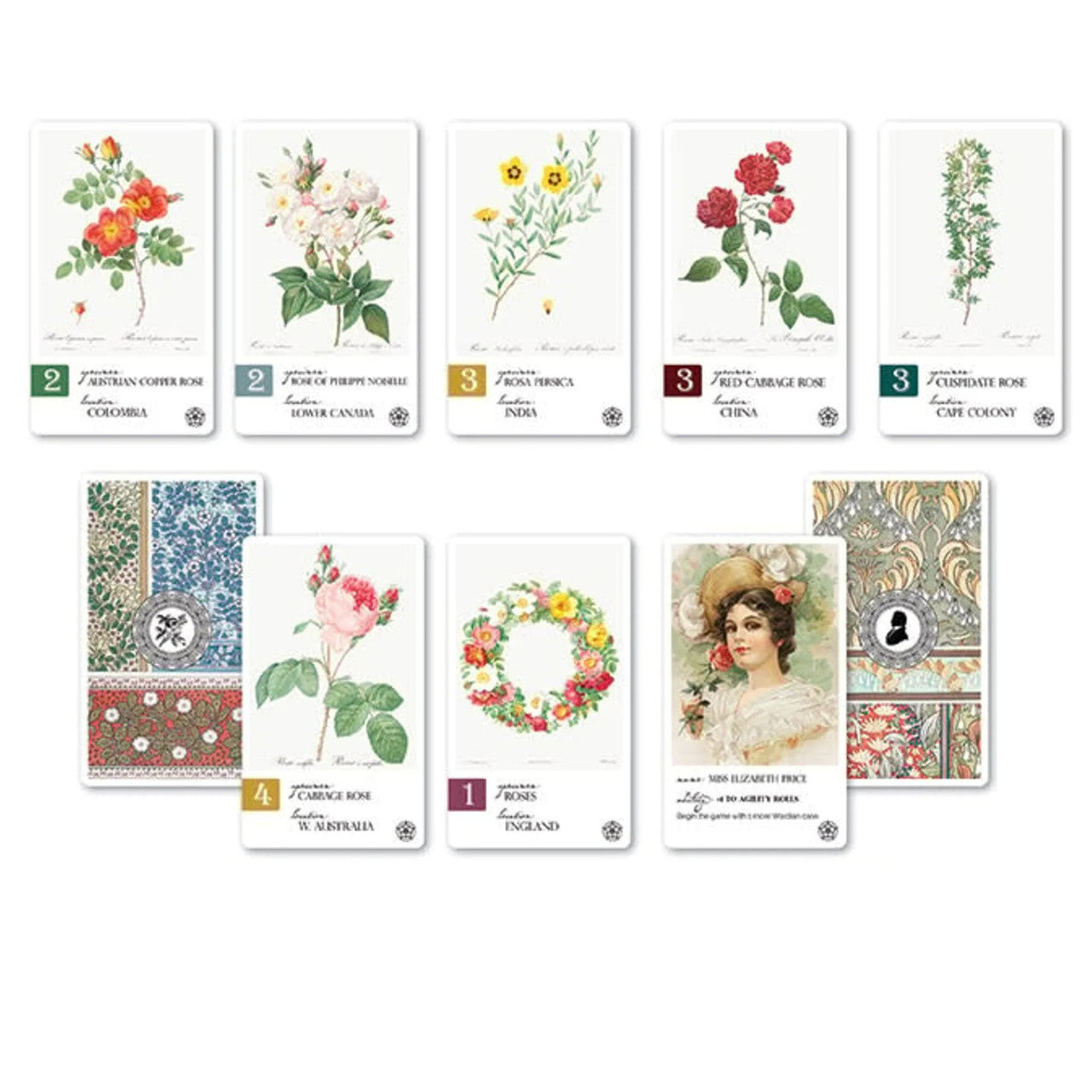 Regal Roses: A Mini-Expansion for Botany