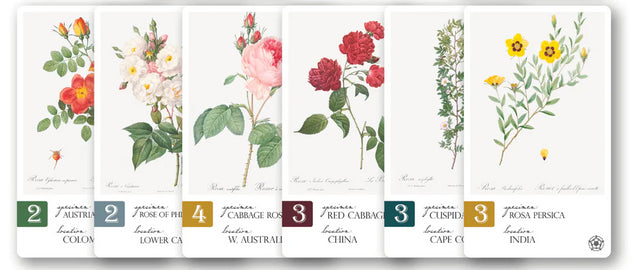 Regal Roses: A Mini-Expansion for Botany