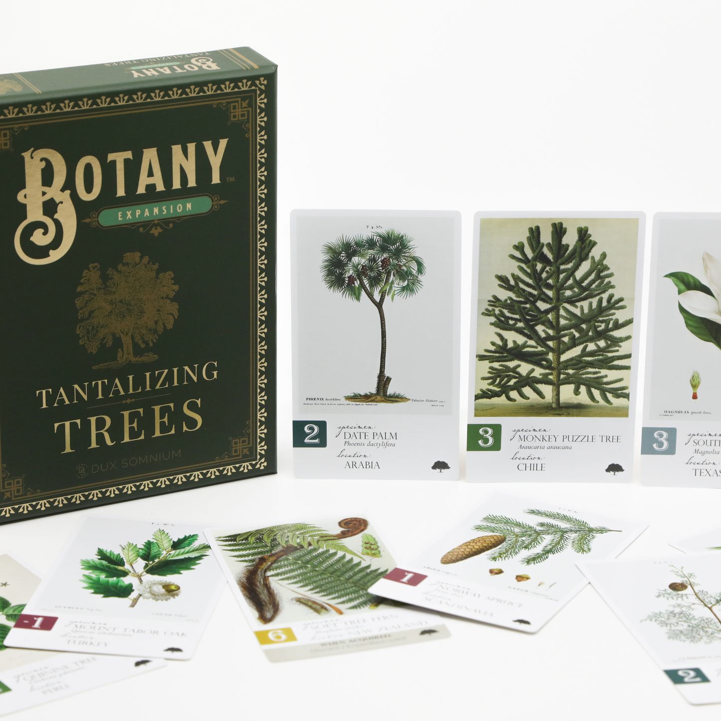 Botany: Tantalizing Trees Expansion