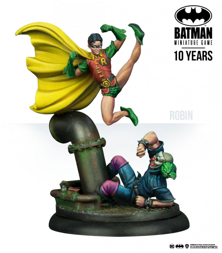 Batman & Robin 10th Anniversary Edition